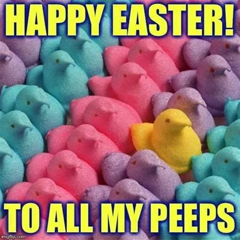 best easter memes 2024|cute easter memes.